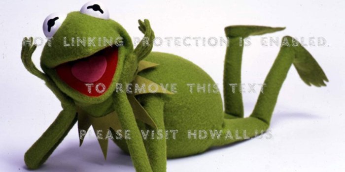 1024x768 frogs kermit the frog muppet show