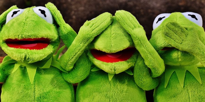 5772x2236 kermit the frog free image | Peakpx