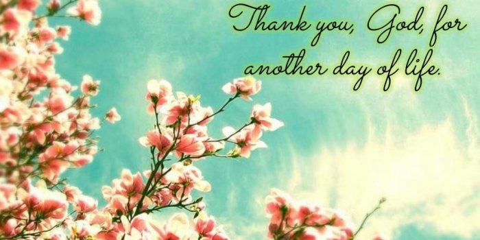 1024x1024 Good Night lovely 8 wishes wallpapers in 2018 - Wallpapers.Images