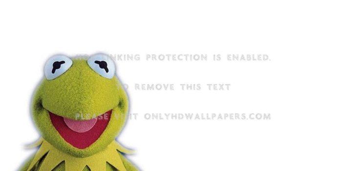 1600x1200 Frogs muppet kermit The