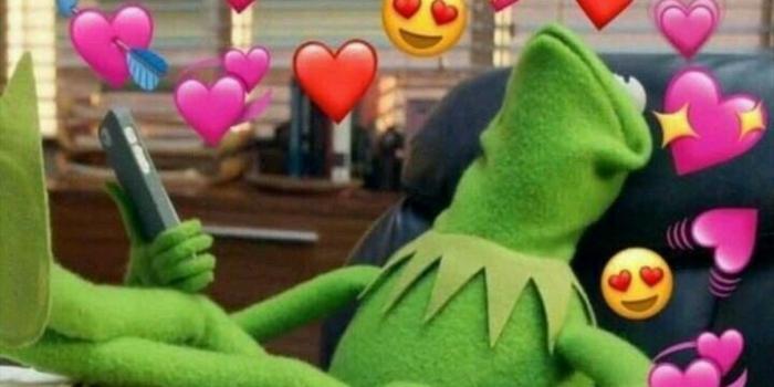720x1280 milena⛅️ on k e r m i t | Cute love memes, Kermit, Love memes