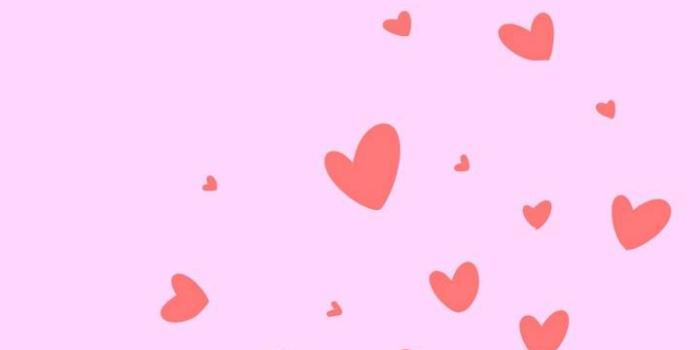 720x1280 Wholesome Kermit Wallpaper by Foureyedfreak - 83 - Free on ZEDGE™