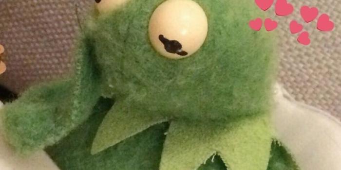 981x981 maddy on meme | Frog meme, Kermit, Love memes