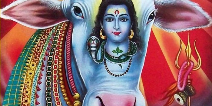 800x1043 Top 10 Punto Medio Noticias | God Hd Wallpapers For Android Mobile