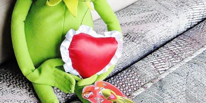 800x1085 Download Kumpulan 81 The Frog Meme Terbaik | Andro Meme