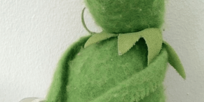 750x1334 Kermit being pretty | KERMIT PICS | Kermit, Kermit the frog, Kermit