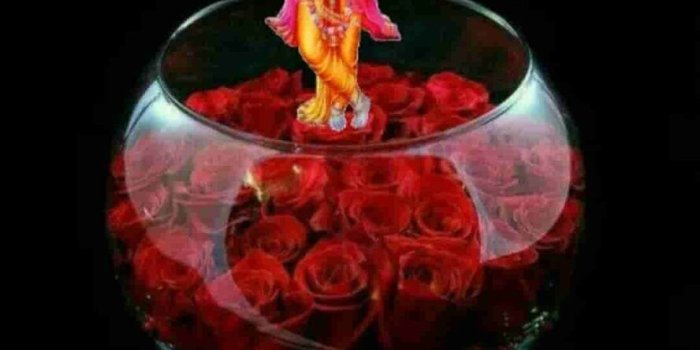 888x1024 New Good Night Images Whatsapp Pictures Free Download Hd Gn Pics