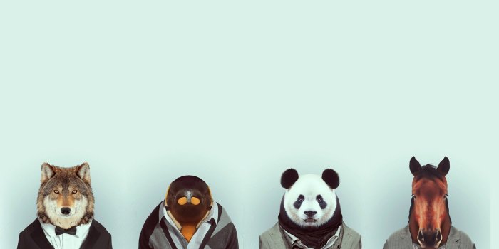 1920x1080 74+ Indie Wallpapers on WallpaperPlay