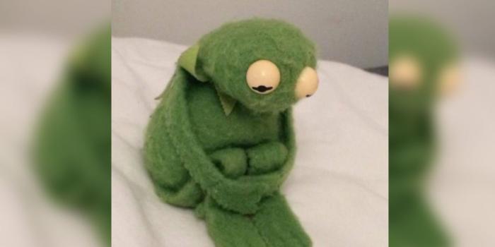 1438x809 kermit the frog