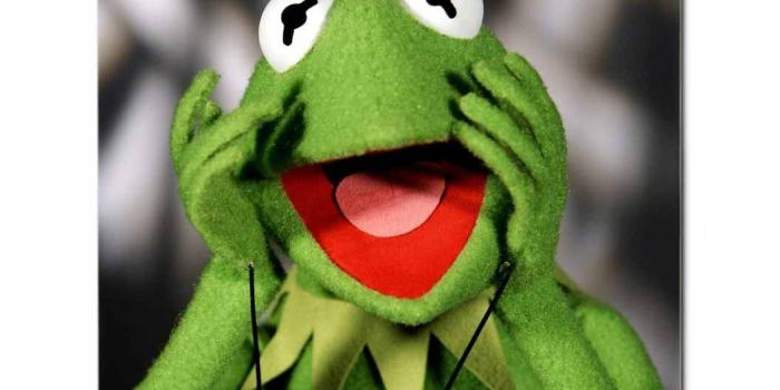 1055x1055 Amazon.com : Animals kermit the frog the muppet show 2086x2754