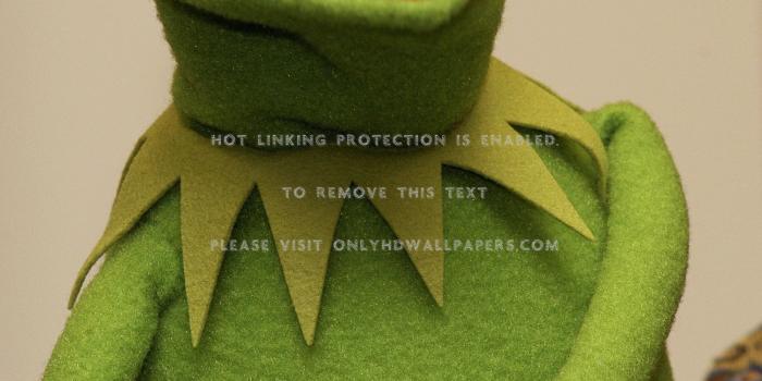2000x3000 kermit the frog