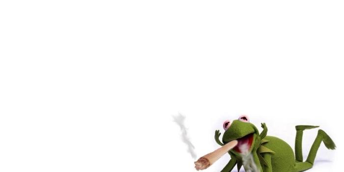 1024x768 Download Wallpapers Kermit The Frog (1024 X 768). Desktop