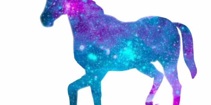 920x953 The Black Unicorn Winged Unicorn Unicorn Horn Desktop - Galaxy