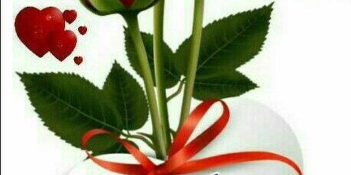 1590x2712 Good morning FRIEND S Have a happy Sunday - Krishna Roy - Google+