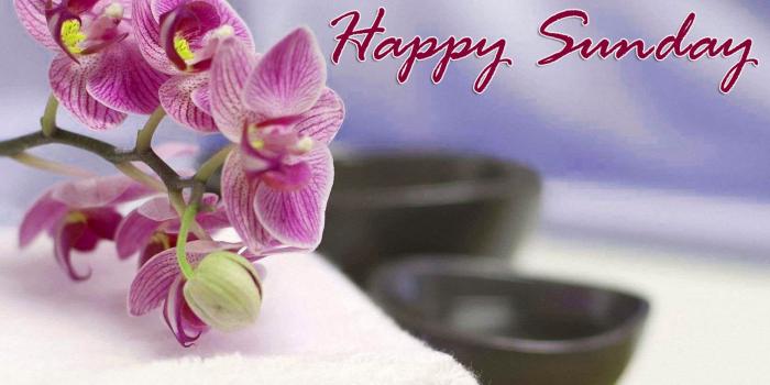 1629x1200 Sunday Good Morning Quotes Images Wishes Wallpaper Photo Pics