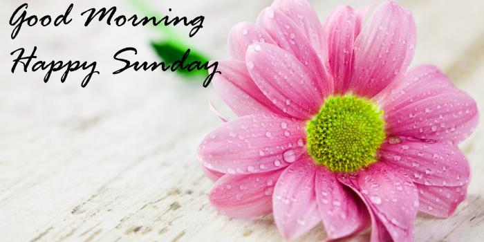 2560x1440 Good Morning Blessings Wallpaper (77+ images)