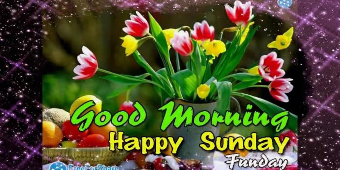 1280x720 Happy Sunday Wallpapers