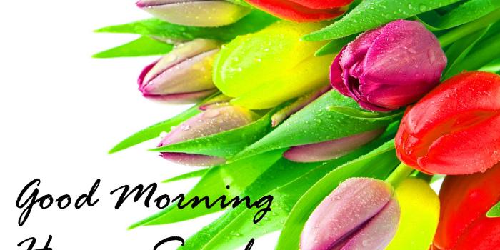 1998x1418 Sunday Good Morning Quotes Images Wishes Wallpaper Photo Pics