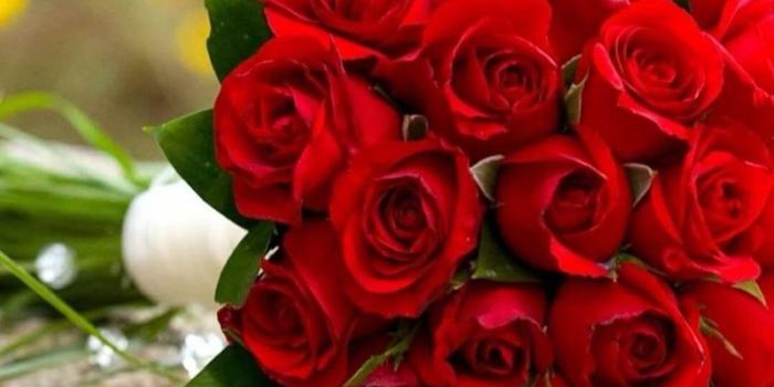 800x1423 good morning images | HappyShappy - India's Own Social Commerce Plat