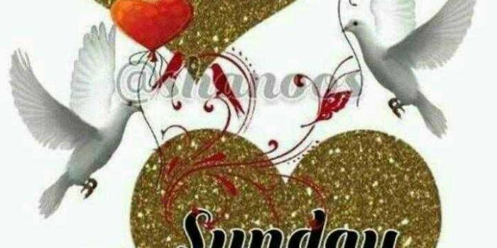 720x1298 Happy Sunday Good Morning Tamil Images - Wallpaperzen.org