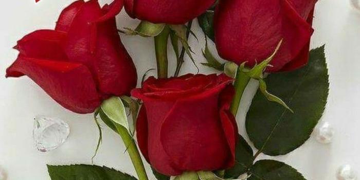 853x1280 Best 25+ Happy sunday wallpaper ideas | Happy sunday flowers, Happy