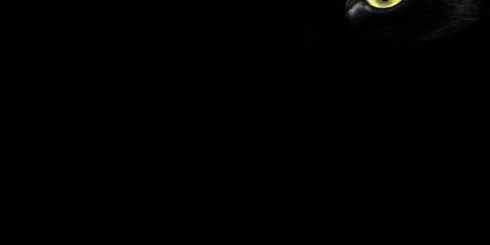 1024x768 Black Cat Wallpaper High Quality | Black Cat Wallpapers, Backgrounds