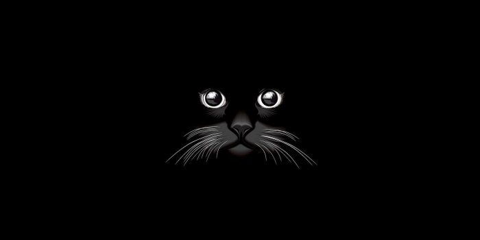 1920x1080 Black Cat Background (65+ images)