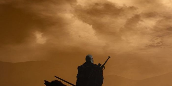 720x1280 Download this Wallpaper iPhone 6 Plus - Video Game/The Witcher 3