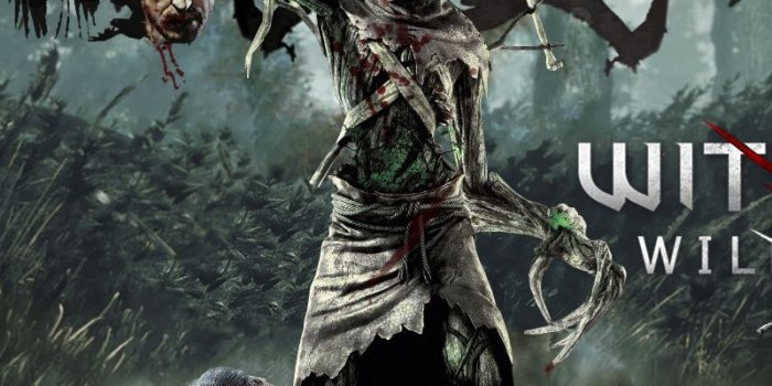 800x1200 Download wallpaper 800x1200 the witcher 3 wild hunt, art, wolves