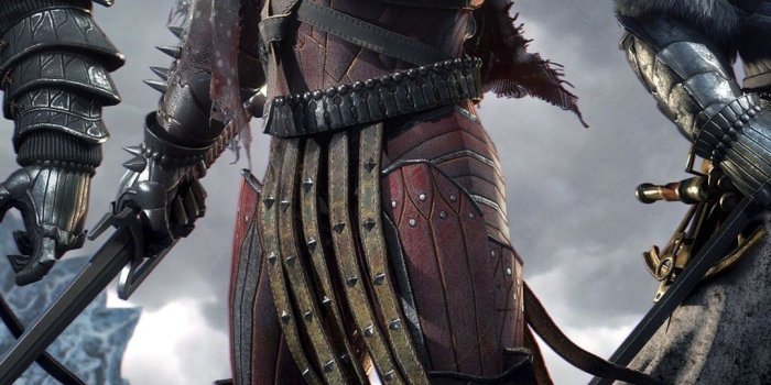 1080x1920 The Witcher 3 Wild Hunt Generals iPhone 6 / 6 Plus and iPhone 5/4