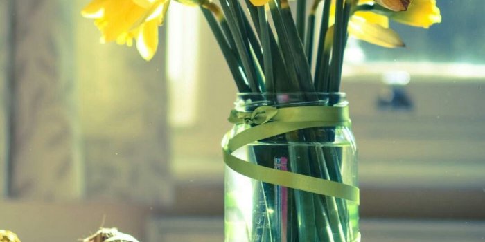 1080x1920 Morning Warm Sunshine Bright Desk Flowers Vase iPhone 8 Wallpapers