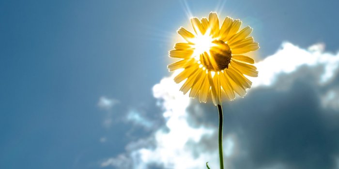 1920x1200 Hello Sunshine Wide Desktop Background wallpaper free | Wallpapers