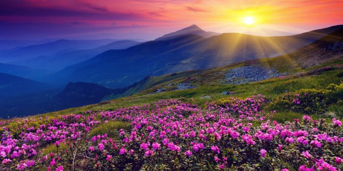 1920x1080 47+] Free Wallpaper Sunshine on WallpaperSafari