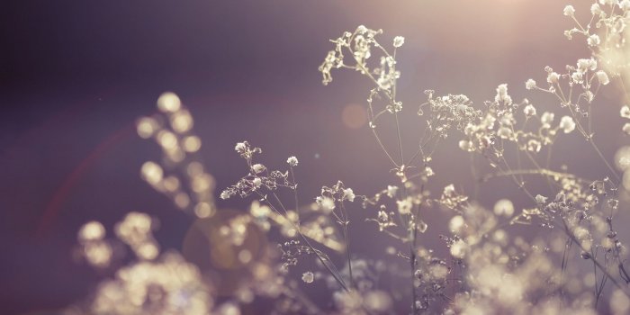 1920x1200 Wonderful Sunshine Wallpaper 7490 1920 x 1200 - WallpaperLayer.com