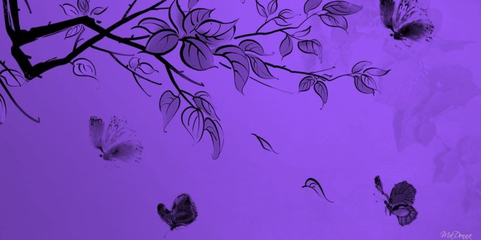 1920x1080 74+ Cute Purple Wallpapers on WallpaperPlay