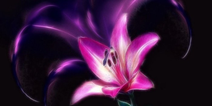 1024x768 Free download Girly Purple Backgrounds HD wallpaper background