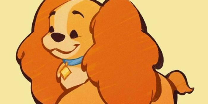 720x1280 Cute #Dog #Wallpaper #Lady #Disney | Disnerd | Disney, Disney fan