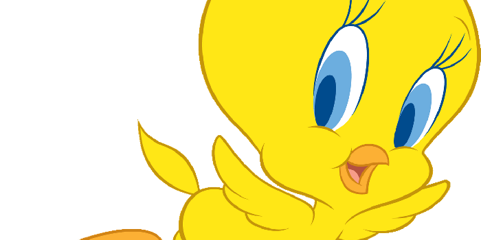 1355x1600 Free download Cute Walt Disney Tweety Bird Characters Wallpaper