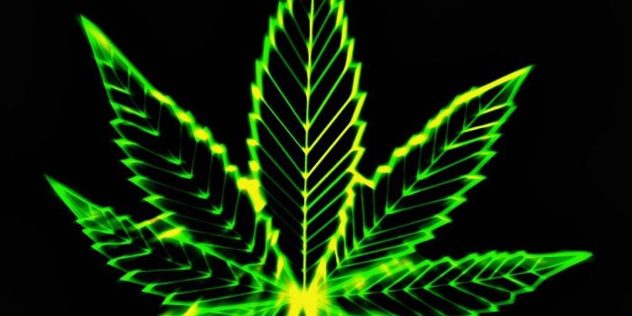 1024x768 48+] Awesome Stoner Wallpaper on WallpaperSafari