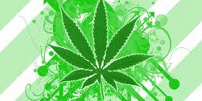 1600x1200 Sick Weed Wallpapers Hd - Nutrisi glucolife