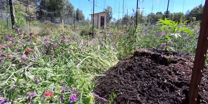 1920x1080 The Green Dope Project - Teaming Up With Nature | Pot TV