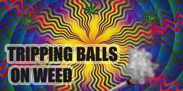 1280x720 Weed Blog – Page 5 – 420 Weed Shirts