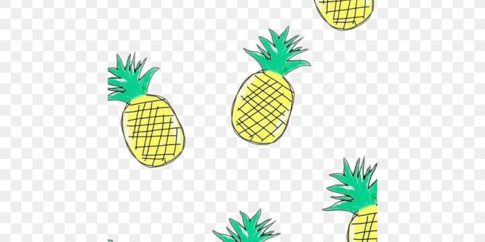 900x900 Watermelon Cartoon png download - 500*888 - Free Transparent Pizza