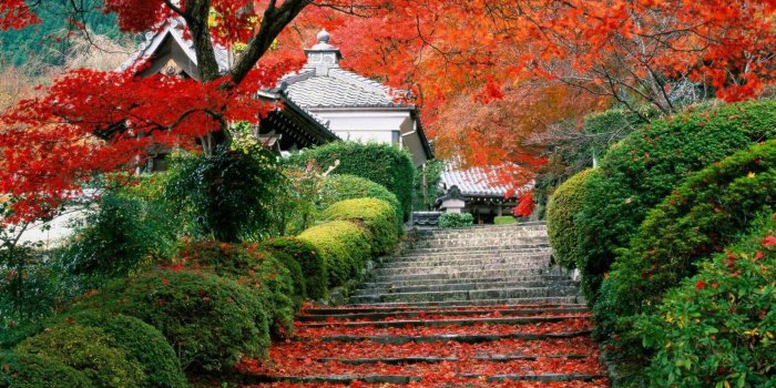 2880x1800 Most Beautiful Nature Wallpaper Backgrounds