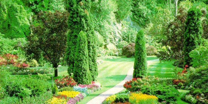 1024x768 most-beautiful-nature-wallpaper-73 | rob miller