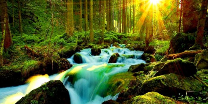 1152x760 Most Beautiful Nature Wallpapers For Mobile Tebar Manfaat