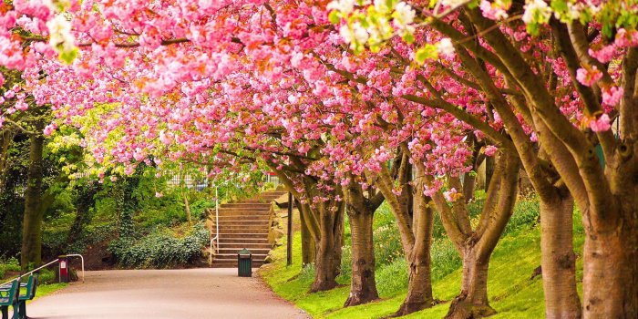 1920x1080 Most Beautiful Nature Wallpaper (67+) - HD Nice Wallpapers