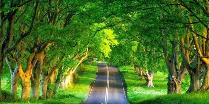 1600x900 Most beautiful nature wallpapers in the world Gallery