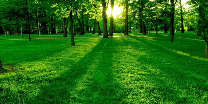 1920x1080 Most Beautiful Nature Wallpapers for Desktop HD Images Quality