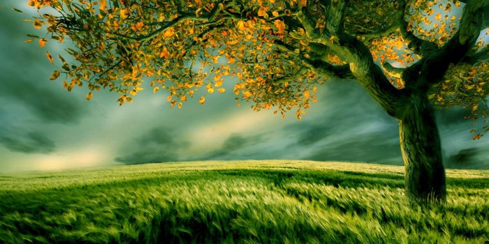 1920x1080 World Most Beautiful Nature - Wallpapers Browse